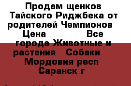 Продам щенков Тайского Риджбека от родителей Чемпионов › Цена ­ 30 000 - Все города Животные и растения » Собаки   . Мордовия респ.,Саранск г.